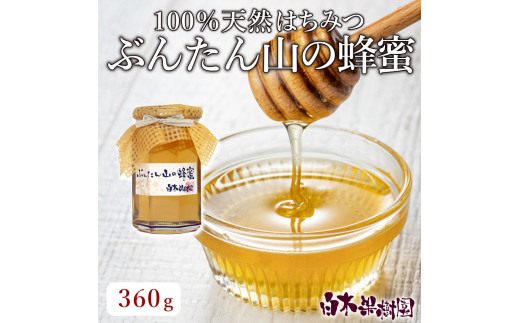 爽やかな香り広がる100%天然蜂蜜 ぶんたん山の蜂蜜 360g 【白