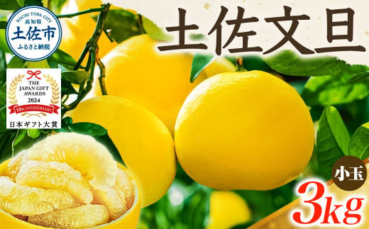 【日本ギフト大賞2024受賞】【先行予約】文旦 小玉3kg（L～M