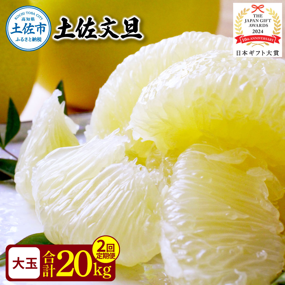 〈2回定期便〉園主こだわりの土佐文旦 10キロ（18 - 24玉） 2