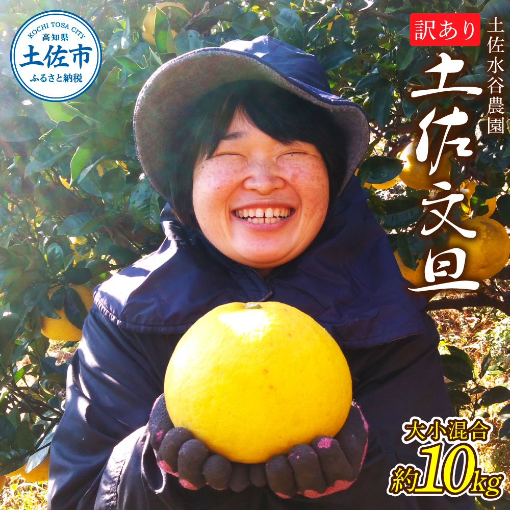 本場、高知県土佐市産！土佐水谷農園の露地土佐文旦 家庭