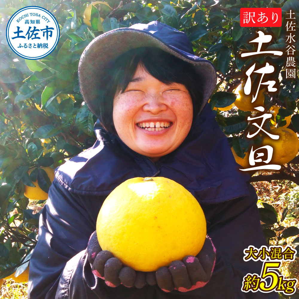 本場、高知県土佐市産！土佐水谷農園の露地土佐文旦 家庭