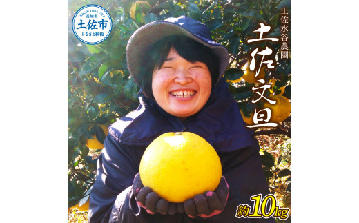 本場、高知県土佐市産！土佐水谷農園の露地土佐文旦 約10