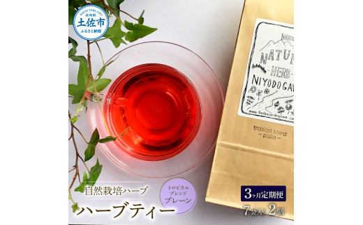 ＜3回定期便＞ ハーブ仁淀川産 自然栽培ハーブ トロピカル