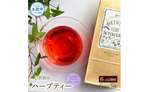 ＜6回定期便＞ ハーブ仁淀川産 自然栽培ハーブ トロピカル