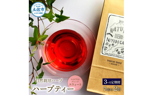 ＜3回定期便＞ ハーブ仁淀川産 自然栽培ハーブ トロピカル