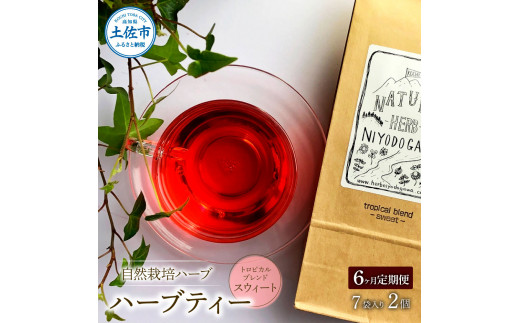 ＜6回定期便＞ ハーブ仁淀川産 自然栽培ハーブ トロピカル