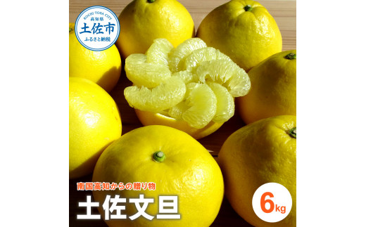 『南国高知からの贈り物』土佐文旦 6kg 6キロ 文旦 期間限定