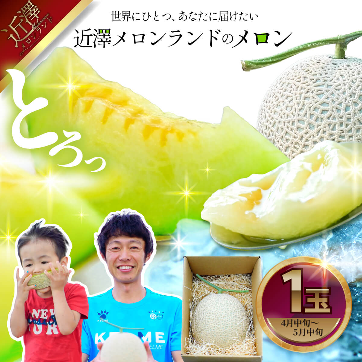 先行予約 メロン １玉入（約1.4kg～1.8kg）青肉 2026年春発送