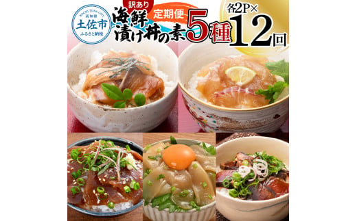 【12回定期便】訳あり土佐の海鮮漬け丼（5種×各2袋）セッ