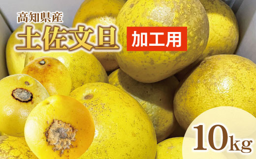 【訳あり】土佐文旦（ぶんたん）加工用（M～５Ｌ混合）約