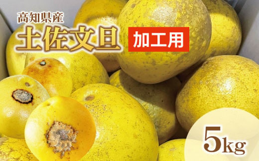 【訳あり】土佐文旦（ぶんたん）加工用（M～５Ｌ混合）約