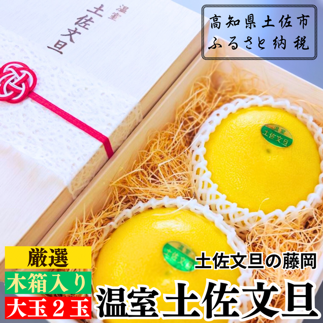 厳選 温室土佐文旦 贈答用木箱入り 大玉 2玉 約600g×2個 ぶん