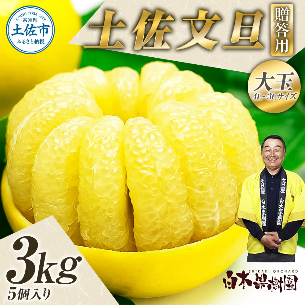 【果樹園直送】土佐文旦 特選品贈答用 約3kg 3L～4Lサイズ 5