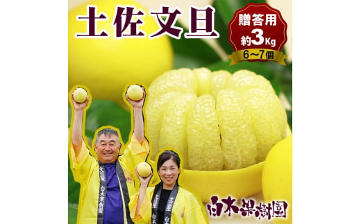 【果樹園直送】土佐文旦 特選品贈答用 約3kg L～2Lサイズ 6～