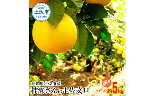 【先行予約】楠瀬さんの土佐文旦 訳あり 約5kg 約5キロ 4L～L