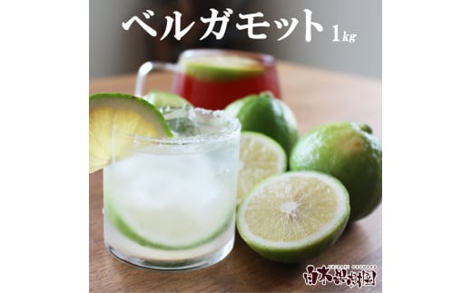 ＜果樹園直送＞ 白木果樹園産 ベルガモット 約1kg 1キロ 5～8