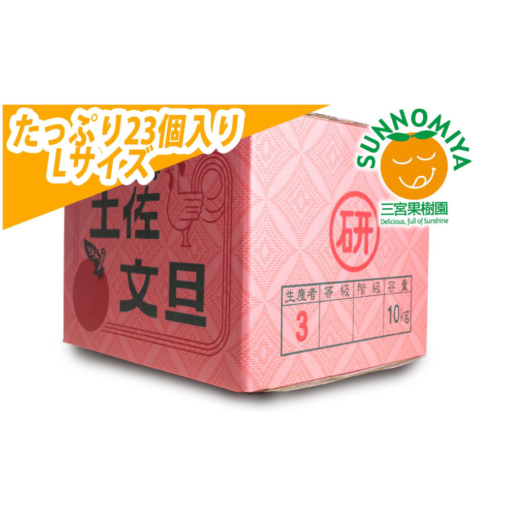三宮果樹園の土佐文旦 ご家庭用Lサイズ 10kg ぶんたん ブン