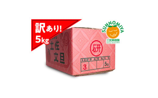 三宮果樹園の土佐文旦 訳あり 5kg ぶんたん ブンタン 5キロ 1