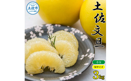 農家直送 土佐市産土佐文旦 小玉3kg ３キロ Mサイズ 7～10玉