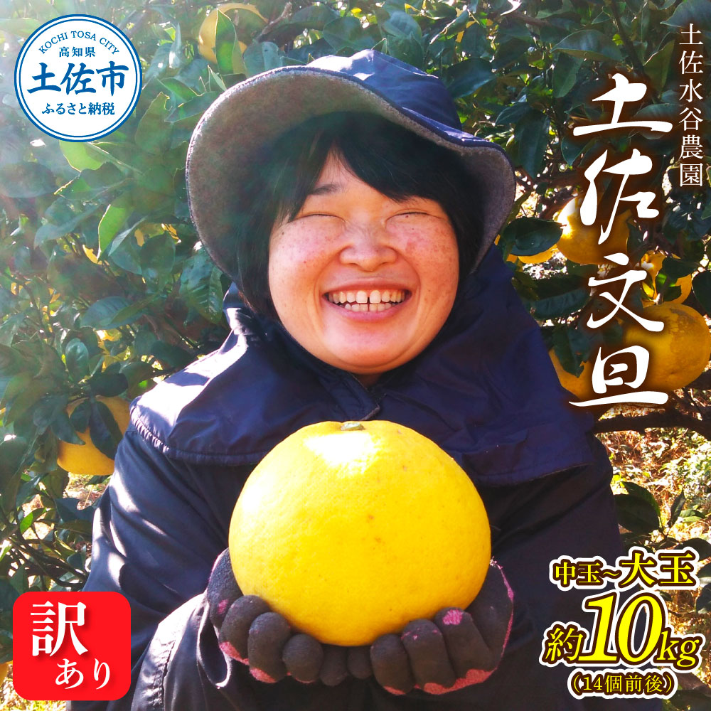 本場、高知県土佐市産！土佐水谷農園の露地土佐文旦 家庭