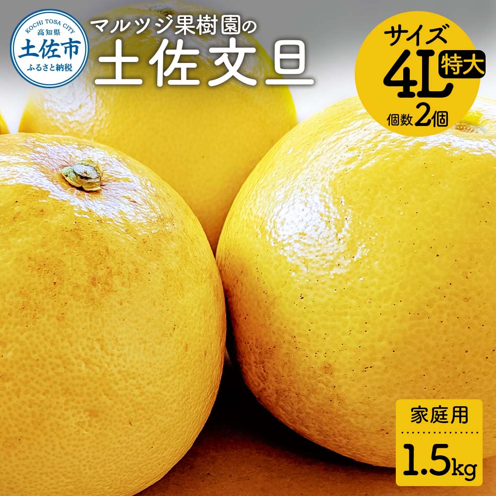 【先行予約】マルツジ果樹園の土佐文旦 家庭用(特大) 約1.5k