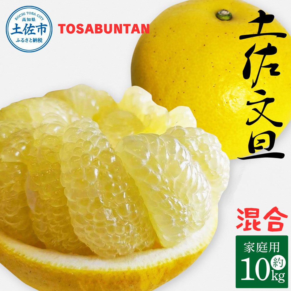 ＜2026年1月下旬より順次発送＞土佐文旦 家庭用 10kg 17～24玉