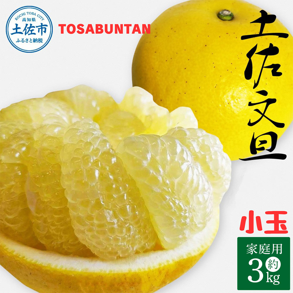 ＜2026年1月下旬より順次発送＞土佐文旦 小玉 家庭用 3kg 7～9