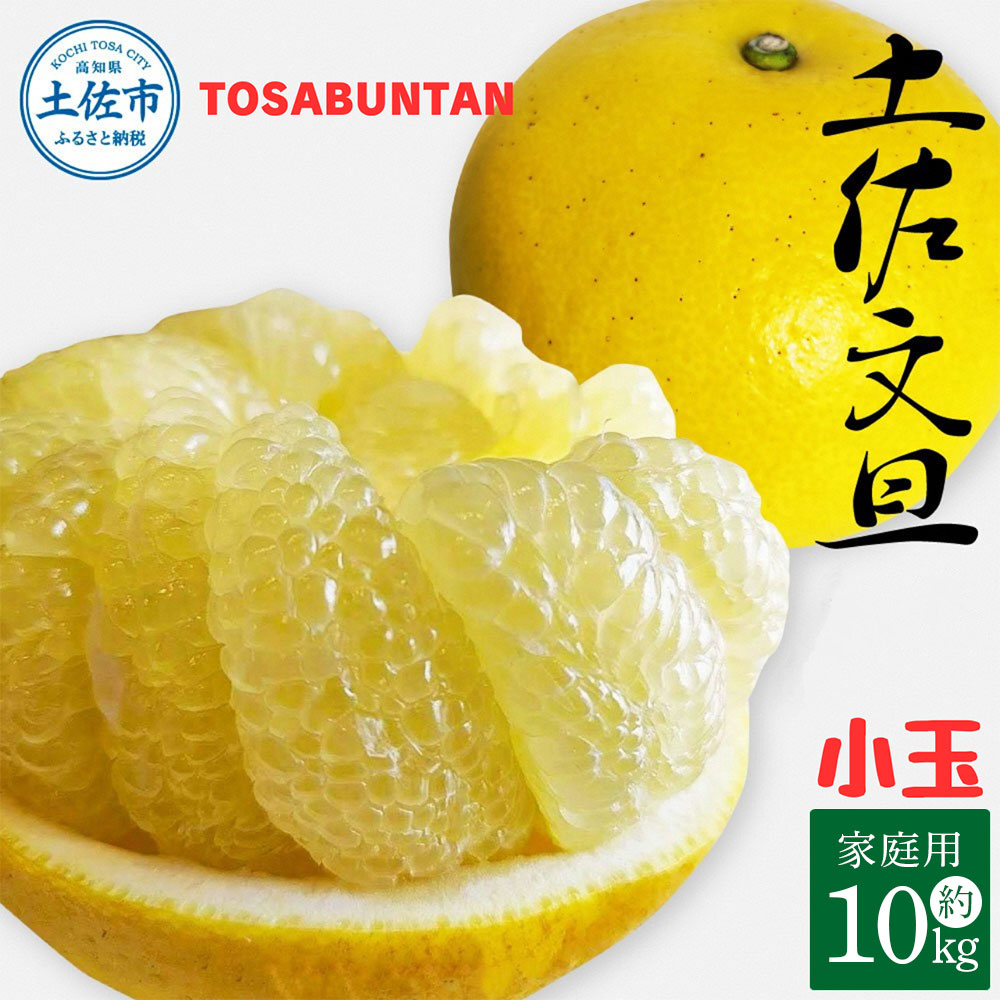 ＜2026年1月下旬より順次発送＞土佐文旦 小玉 家庭用 10kg 23