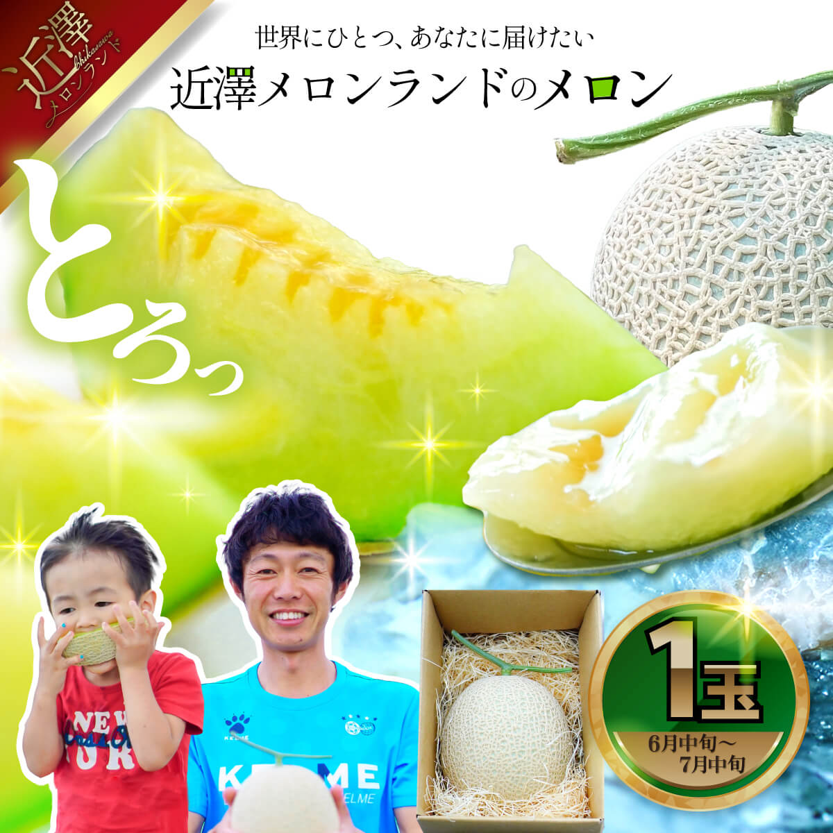 先行予約 メロン １玉入（約1.4kg～1.8kg）青肉 2026年夏発送