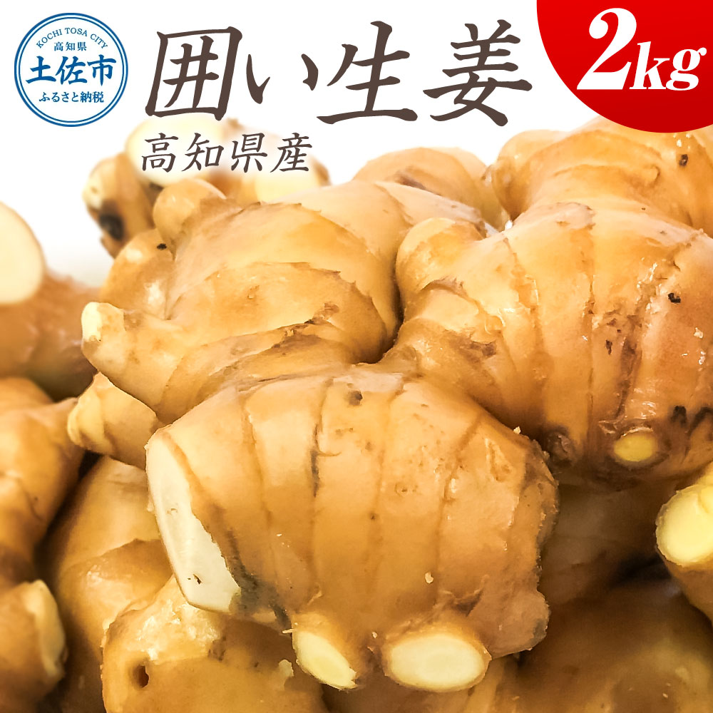 囲生姜 2kg 2キロ しょうが ショウガ 新鮮野菜 野菜 お取り寄