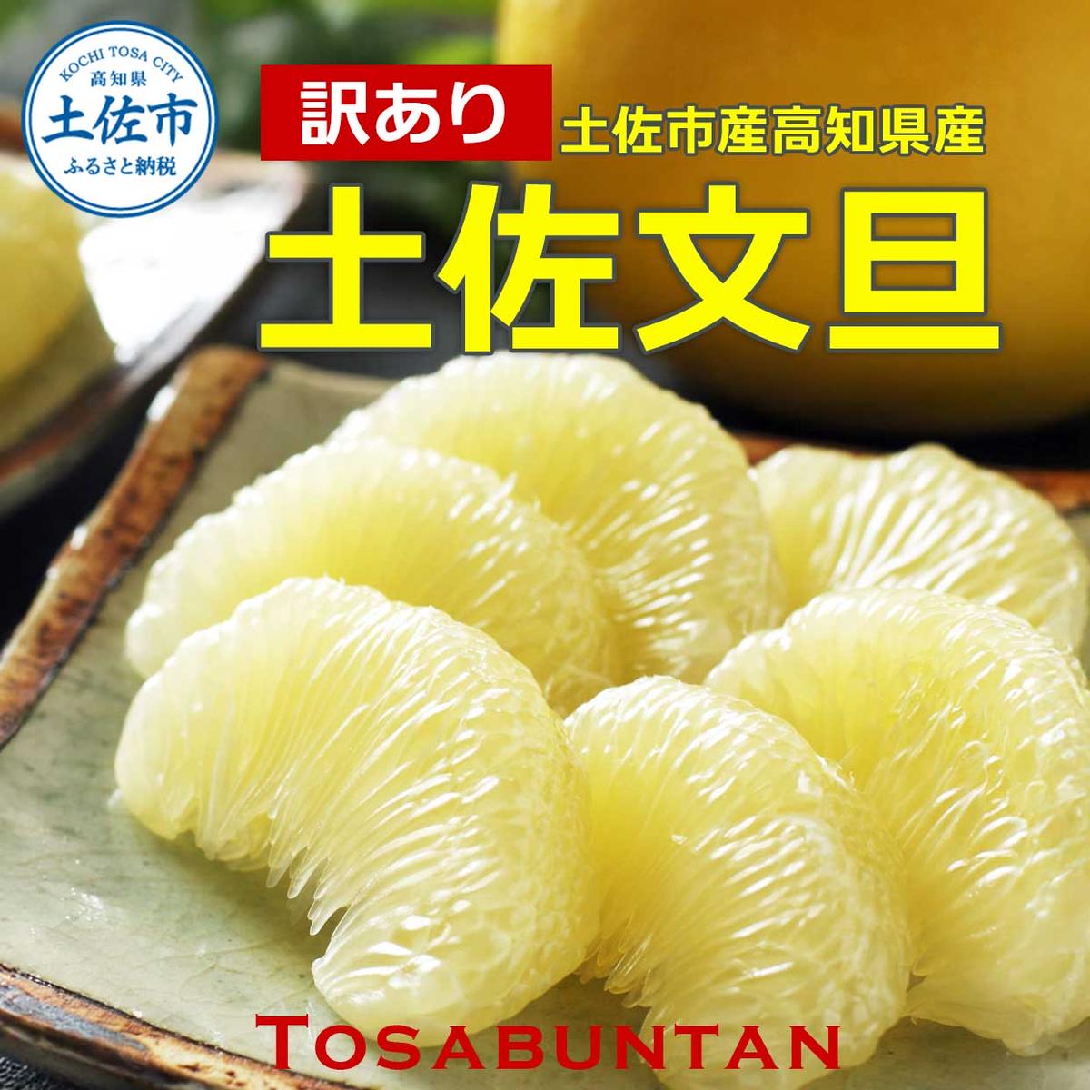 ＜土佐市産＞土佐文旦 訳あり 約10kg（3L～Lいずれかのサイ