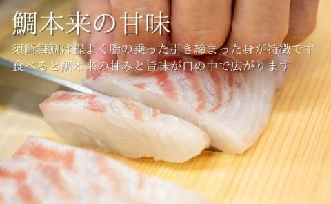 漁師自慢の逸品「須崎舞鯛」 お刺身用 2匹分