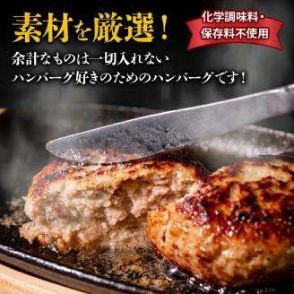 ハンバーグ 2.4kg 半年 6回 定期便 【四万十ポーク使用】