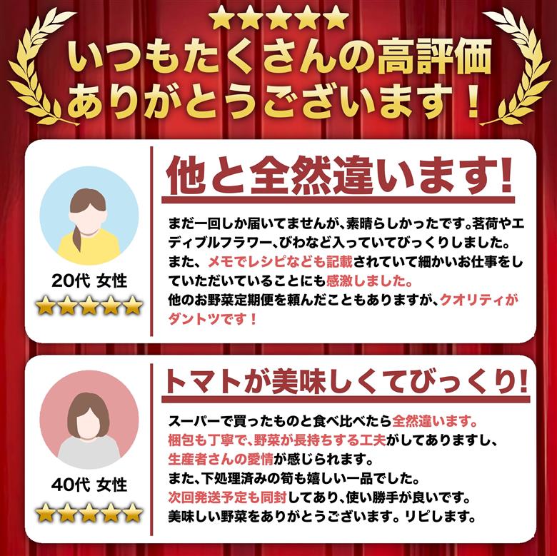 【1年間定期便】 季節の野菜を厳選 お野菜セット (12～13品前後】