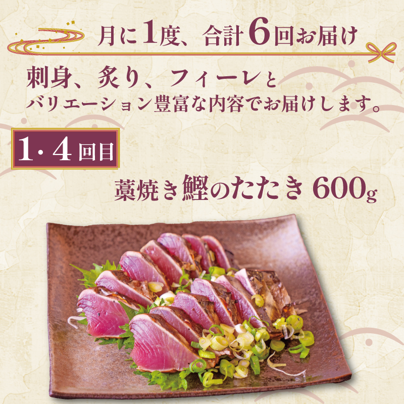 【定期便6回】 お刺身 定期便 6回