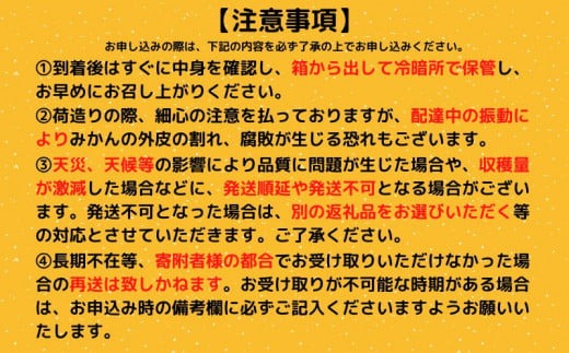 【お試しサイズ】南国高知の柑橘三昧【ポンカン・文旦・小夏】+++野菜セット付き+++