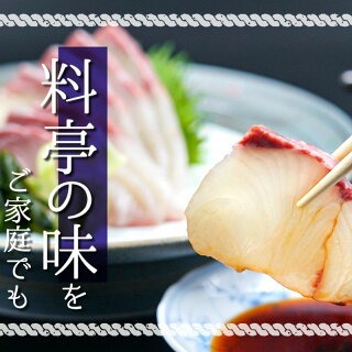 カンパチ 1節 約0.3kg～0.4kg 冷蔵発送 高知 【高級 須崎勘八】