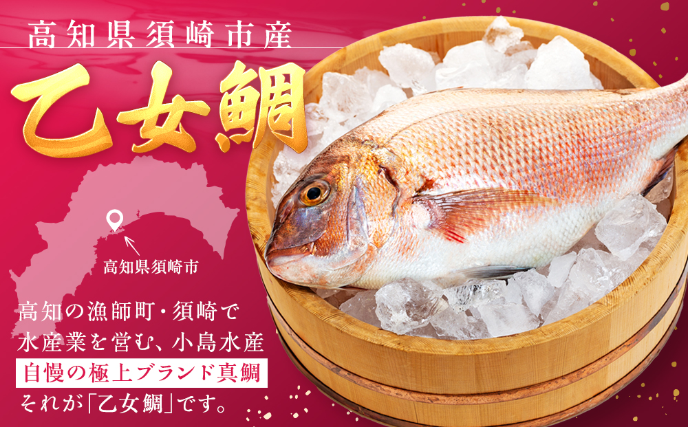 乙女鯛 2尾 2kg 柵セット (アラ付き)