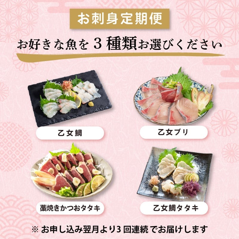 お好きなお魚が選べる！3回定期便