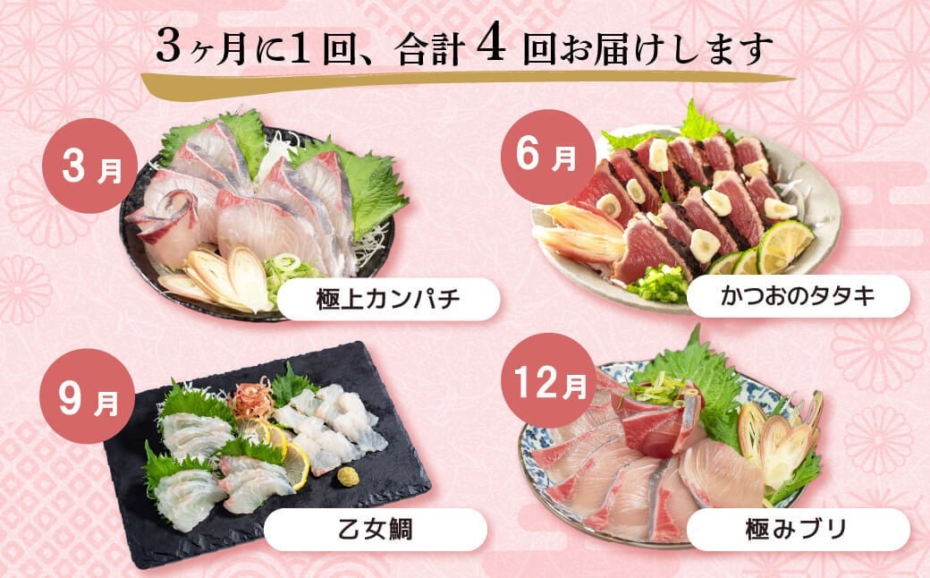 【 4回 定期便 】 厳選 海鮮定期便 小島水産 刺身 カンパチ カツオ 鯛 ブリ 4ヶ月 かつお わら焼き たたき  | 藁焼き カツオ 鰹 高知 かつおのたたき 勘八 鰤 タイ 4回定期便 かつおたたき定期便 魚定期便 小島水産 高知県 須崎市