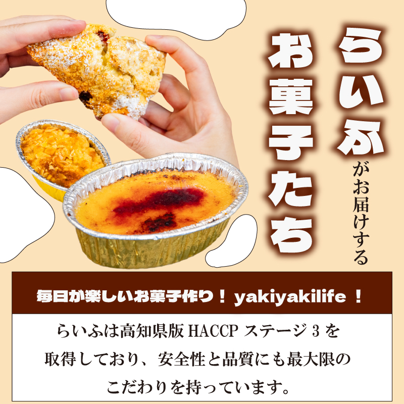 王様マンゴーゼリー 5個