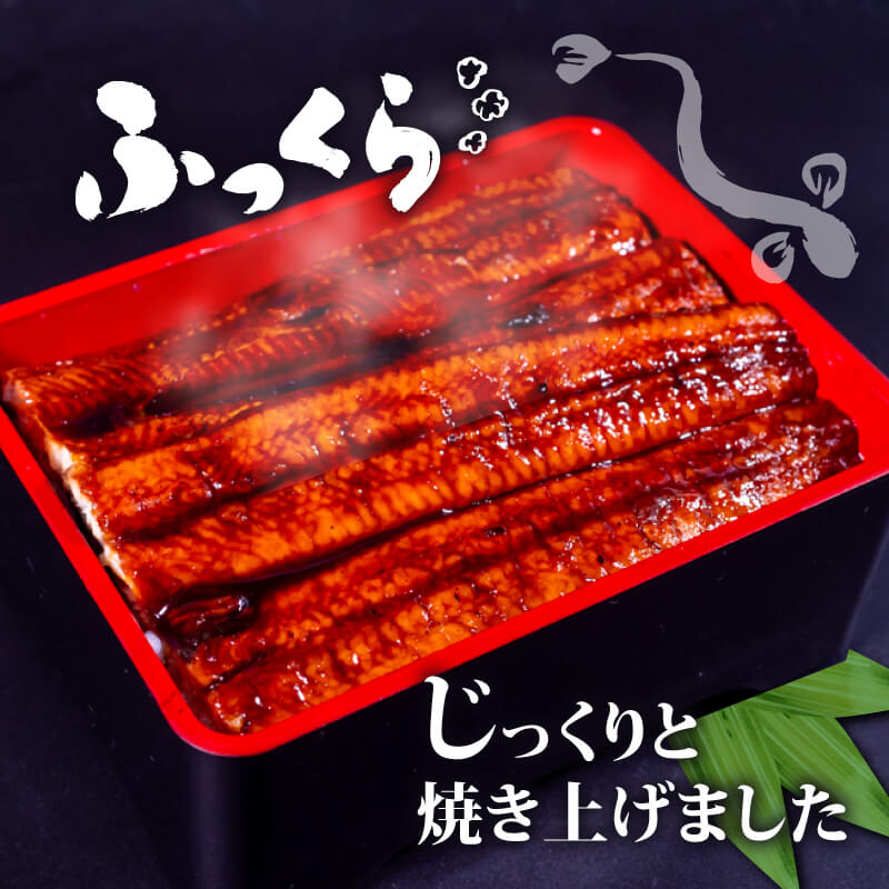 【肉厚】 うなぎ蒲焼き 720ｇ（120～140×6尾）/ 鰻 ウナギ かば焼き 冷凍