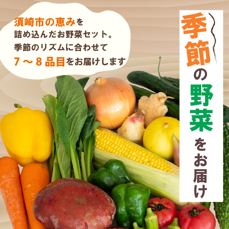 野菜定期便 7品~8品 6ヵ月