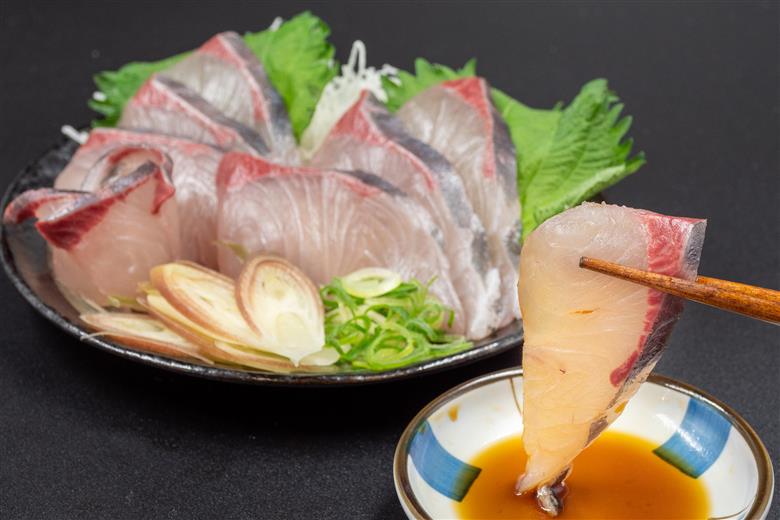 野島水産がお届けする、須崎湾で育てたブランド魚 須崎勘八 250g?450g 【野島水産】