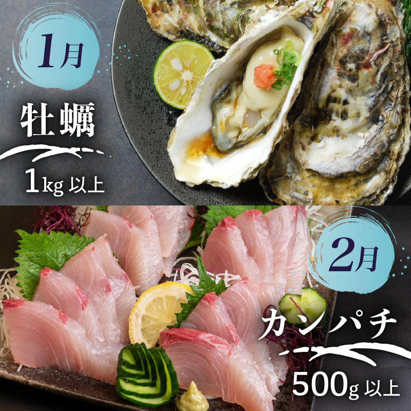 【鮮魚定期便 】 旬 の 刺身 定期便 12回 コース 野島水産 が お届け！ | 漁師町定期便 下処理済み 鮮魚 刺し身定期便 かつお かつおのたたき 藁焼き タタキ 鯛 真鯛 マグロ 牡蠣 しらす 伊勢海老 セット 高知 産地直送 たい まだい 半年 6回 高知県 須崎市