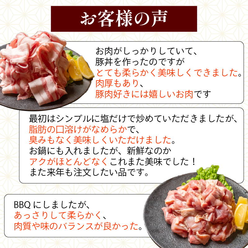 【四万十ブランド】 鶏肉 と 豚肉 の セット 計800g ( 鶏もも肉 500g と 豚肉 スライス 300g ) | 四万十ポーク スライス 四万十鶏 鶏モモ セット 豚肉 豚バラ肉 小分け 小間切れ 切り落とし 冷凍 真空パック 簡単 調理 細切れ 切身 カット済み 鳥肉 とりにく 鶏もも モモ肉 ブランド 唐揚げ 煮物 鍋 チキン 南蛮 肉 高知県 須崎市 TM047
