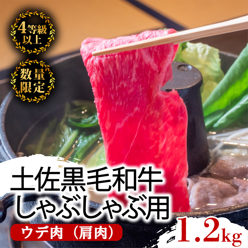【2回定期】土佐黒毛和牛 食べ比べ 2200g 【計2.2kg以上】