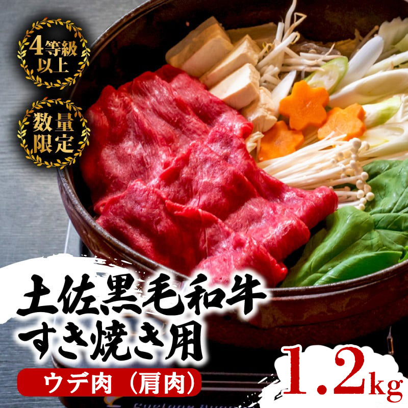 【12回定期】土佐黒毛和牛 食べ比べ 11720g 【計11kg以上】