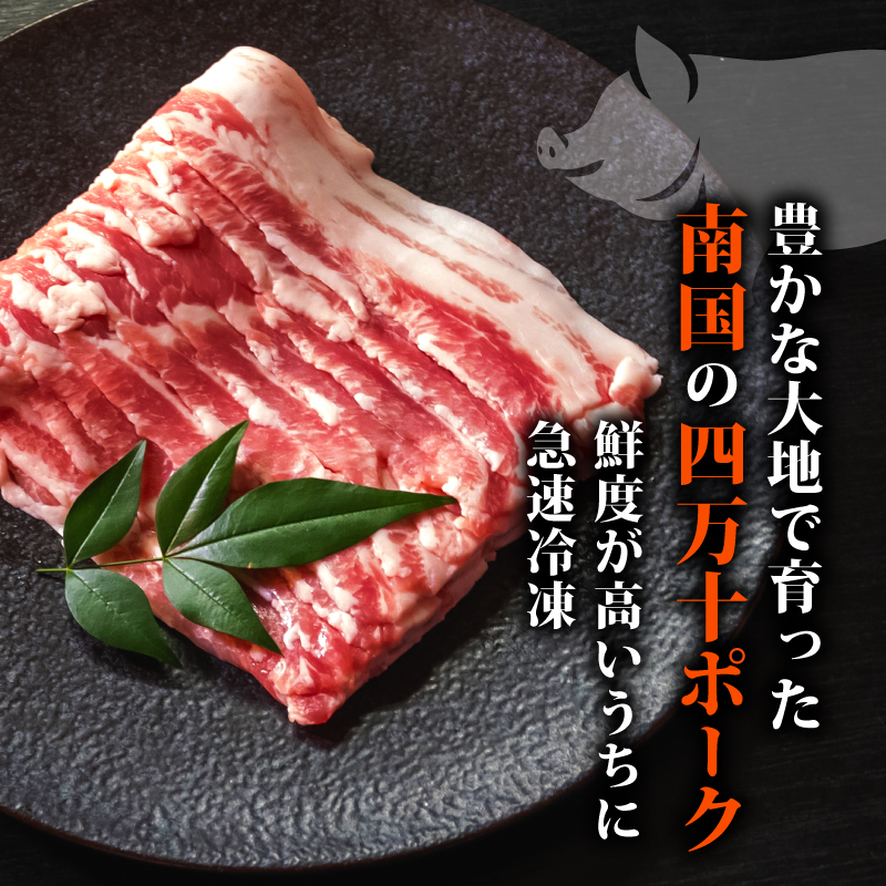 【定期12回】四万十ポークスライス 計14.4kg【1.2kg×12ヶ月連続お届け】 2Gコース