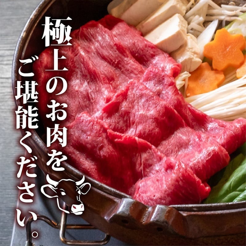 【定期12回】土佐黒毛和牛ウデ肉すき焼き用 計9.6kg【800g×12ヶ月連続お届け】 3Jコース